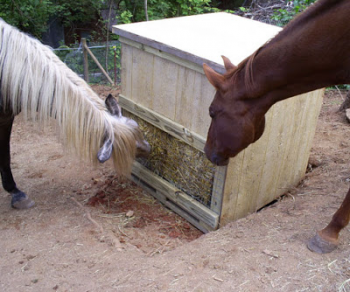 cataloochee_feeder.jpg